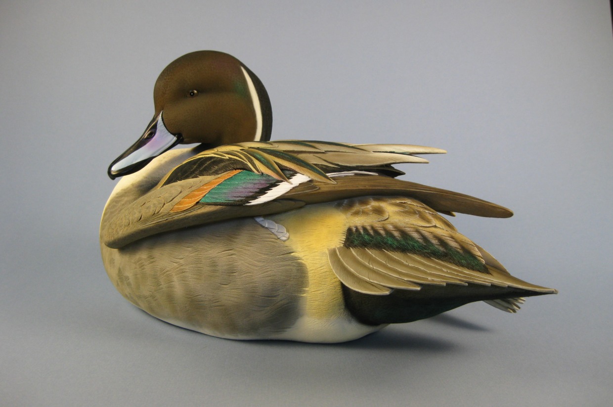 Jett Pintail Drake Decoy from Carvers for Conservation BAS